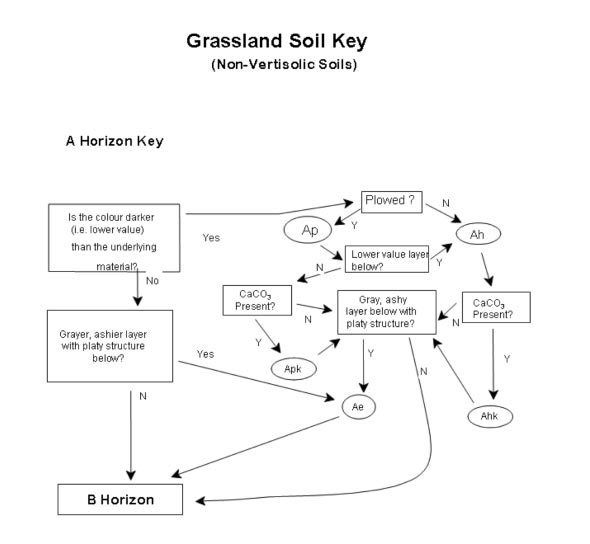 Grassland Key 3