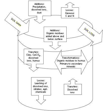 Soil forming processes