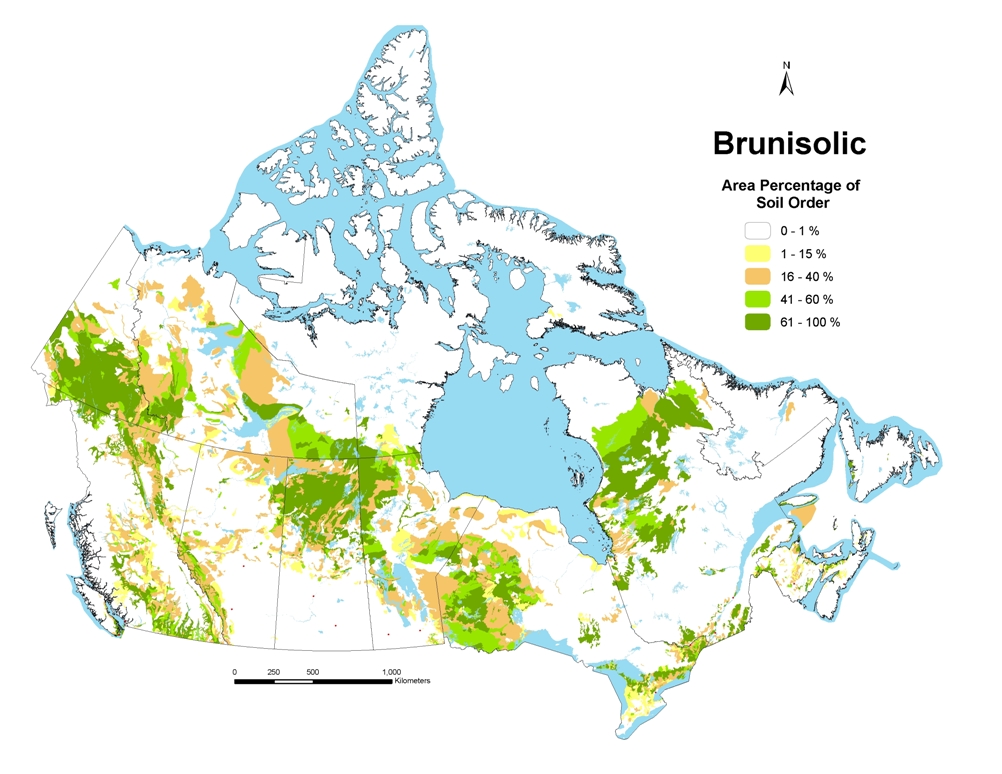 Forest Tundra Soils Soils Of Canada