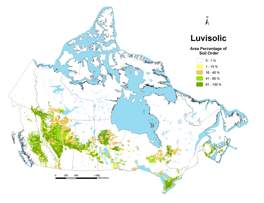 Forest Tundra Soils Soils Of Canada