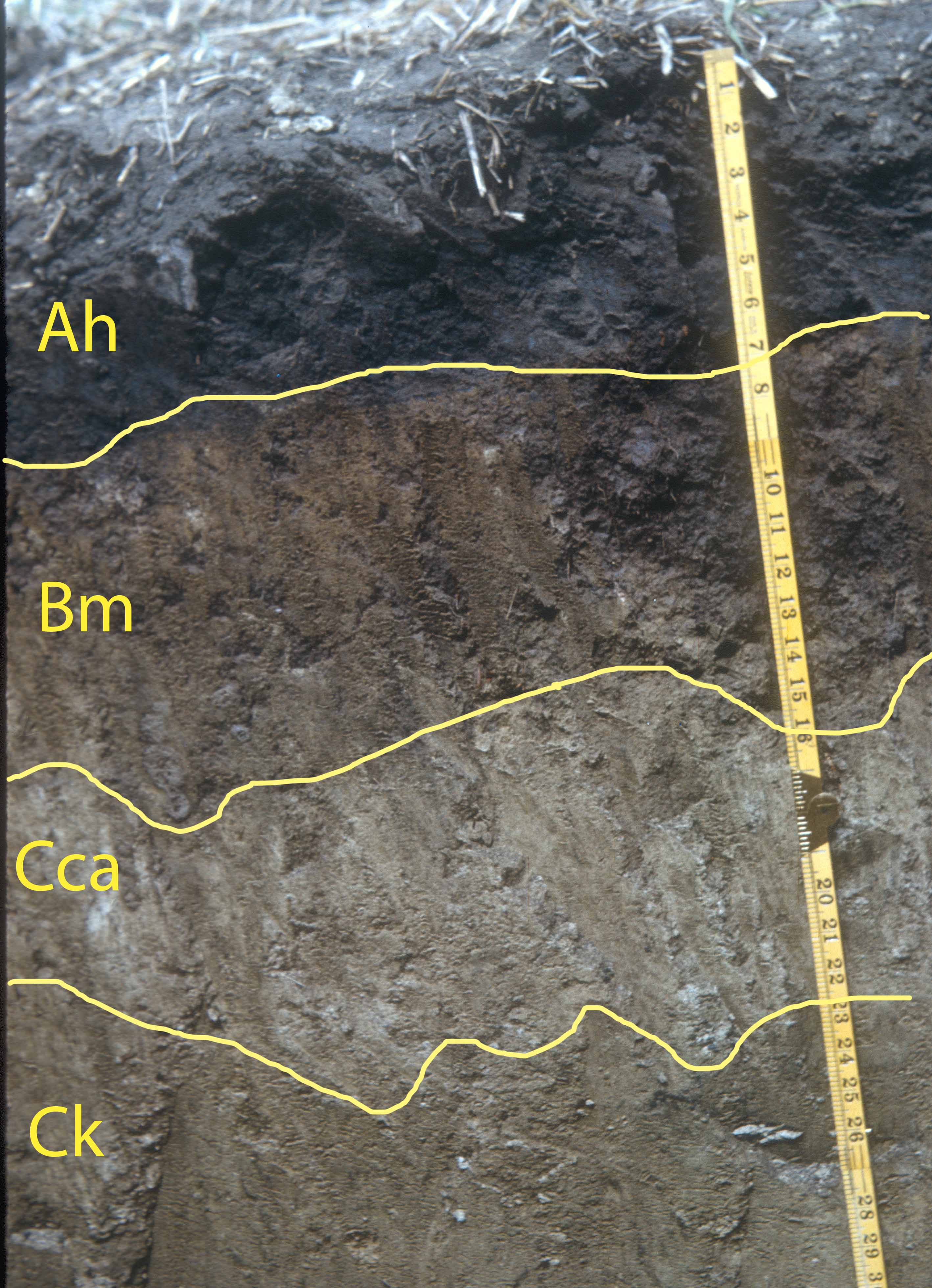 Chernozemic Order - Soils of Canada