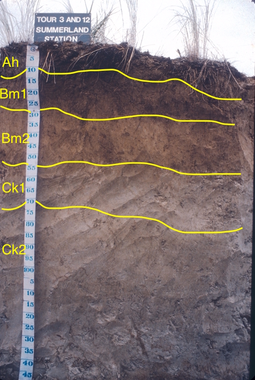 Chernozemic Order - Soils of Canada