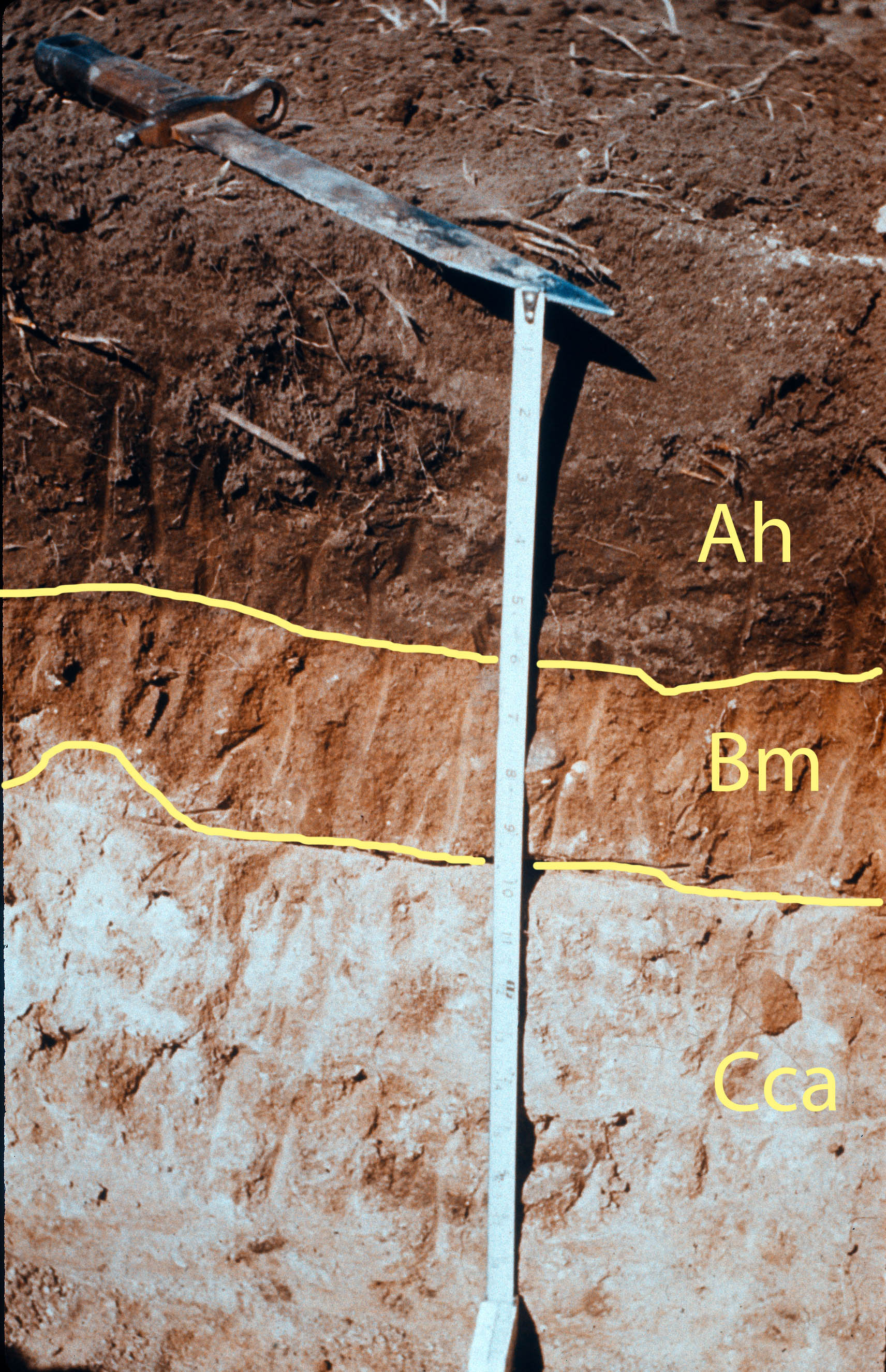 Chernozemic Order - Soils of Canada